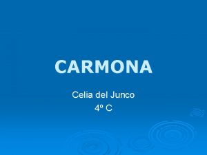 CARMONA Celia del Junco 4 C Carmona Romana