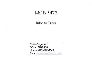 MCB 5472 Intro to Trees Peter Gogarten Office