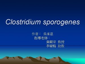 Clostridium sporogenes