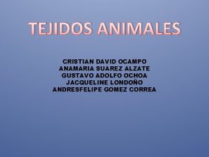 Cristian david ocampo