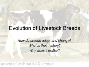 Evolution of Livestock Breeds How do breeds adapt