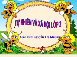 Gio vin Nguyn Th Khuyn Th t ngy