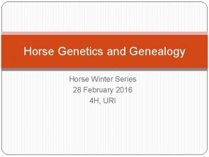 Horse Genetics and Genealogy Horse Winter Series 28