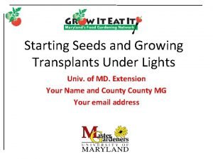 Starting Seeds and Growing Transplants Under Lights Univ