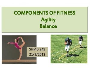 COMPONENTS OF FITNESS Agility Balance SHMD 249 2132012