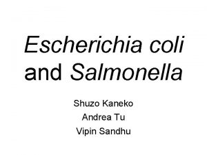 Escherichia coli and Salmonella Shuzo Kaneko Andrea Tu