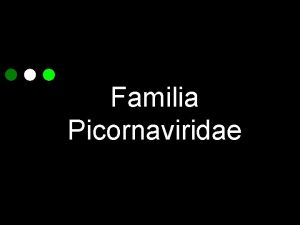 Picornavirus familia Picornavirus familia