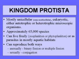 KINGDOM PROTISTA Mostly unicellular some multicellular eukaryotic either