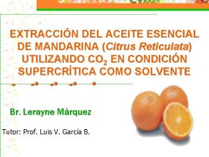 EXTRACCIN DEL ACEITE ESENCIAL DE MANDARINA Citrus Reticulata