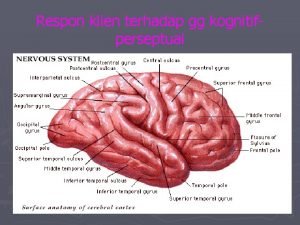 Respon klien terhadap gg kognitifperseptual pendahuluan Perawat pemberi