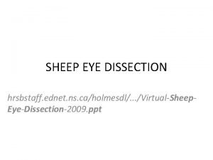 Parts of a sheep eye