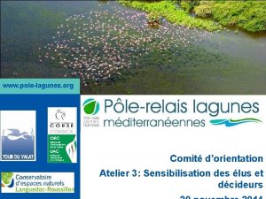 www polelagunes org Comit dorientation Atelier 3 Sensibilisation