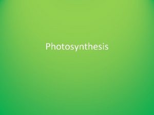 Photosynthesis Chloroplast Structure Photosynthesis occurs in the chloroplasts