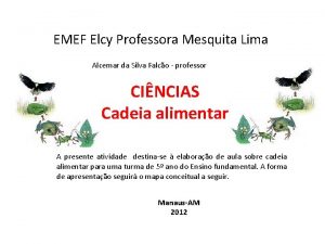 Consumidor secundario Consumidor secundario