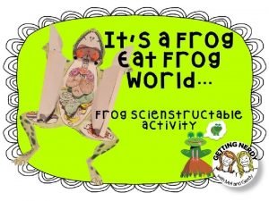 Frog scienstructable key and functions answers