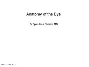 Anatomy of the Eye Dr Spandana Charles MD