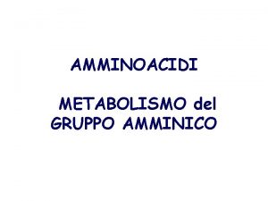 AMMINOACIDI METABOLISMO del GRUPPO AMMINICO Flusso generale chetoacidi