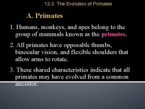 12 3 The Evolution of Primates A Primates