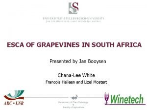 ESCA OF GRAPEVINES IN SOUTH AFRICA Presented by