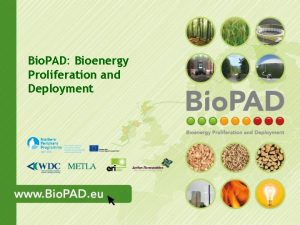 Bio PAD Bioenergy Proliferation and Deployment Bio PAD