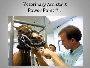 Veterinary Assistant Power Point 1 Ambubag 001 Anesthetic