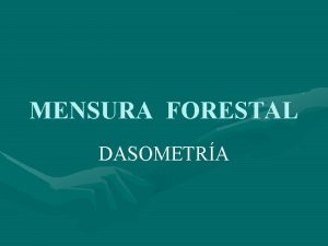 MENSURA FORESTAL DASOMETRA Introduccin Definicin Graves 1906 La