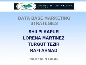 DATA BASE MARKETING STRATEGIES SHILPI KAPUR LORENA MARTINEZ