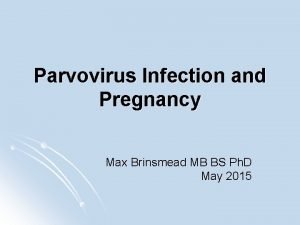 Parvovirus Infection and Pregnancy Max Brinsmead MB BS