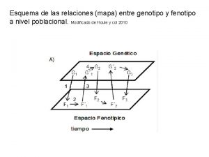 Esquema de fenotipo y genotipo