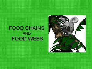 FOOD CHAINS AND FOOD WEBS Words to Know
