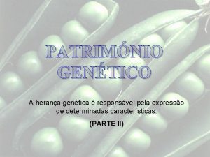 PATRIMNIO GENTICO A herana gentica responsvel pela expresso