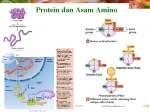 Protein dan Asam Amino 2010 Pearson Education Inc