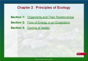 Principles of ecology section 2 flow of energy