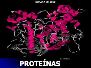 Función de las proteínas estructurales