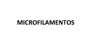 Los microfilamentos