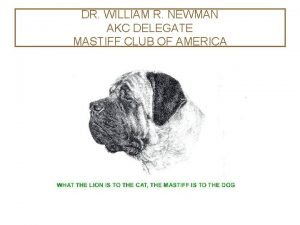 DR WILLIAM R NEWMAN AKC DELEGATE MASTIFF CLUB