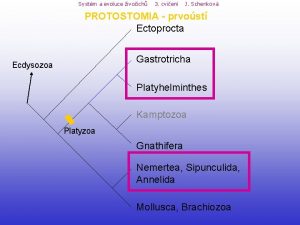 Systm a evoluce ivoich 3 cvien J Schenkov