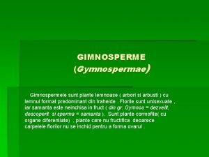 GIMNOSPERME Gymnospermae Gimnospermele sunt plante lemnoase arbori si