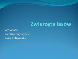 Zwierzta lasw Wykonay Kamilka Przyczynek Kasia Kuligowska Sarna