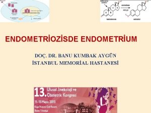 ENDOMETROZSDE ENDOMETRUM DO DR BANU KUMBAK AYGN STANBUL