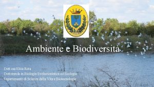 Ambiente e Biodiversit Dott ssa Elisa Rota Dottoranda