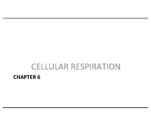 CELLULAR RESPIRATION CHAPTER 6 Sunlight energy ECOSYSTEM Photosynthesis