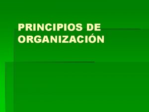 PRINCIPIOS DE ORGANIZACIN Para qu sirven los principios