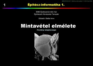 BMEEPAGA 301 ptszinformatika 1 2008 szi flv 1