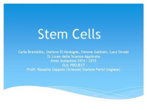 Stem Cells Carlo Brambilla Stefano Di Modugno Simone