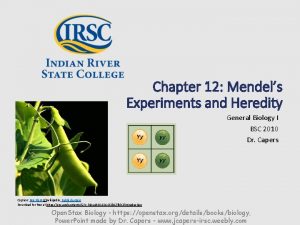 Chapter 12 Mendels Experiments and Heredity General Biology