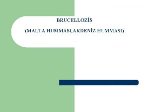 BRUCELLOZS MALTA HUMMASI AKDENZ HUMMASI AMA Brucella hastaln