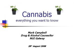 Cannabis everything you want to know Mark Campbell