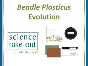 Beadle Plasticus Evolution Please complete the Participant Card