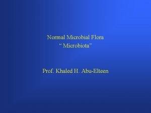 Normal Microbial Flora Microbiota Prof Khaled H AbuElteen
